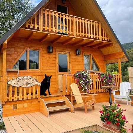 Apartament Agri Camp Dolomiti Belluno Zewnętrze zdjęcie