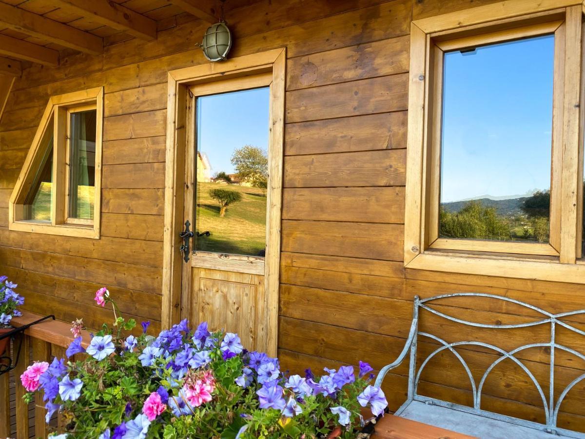 Apartament Agri Camp Dolomiti Belluno Zewnętrze zdjęcie