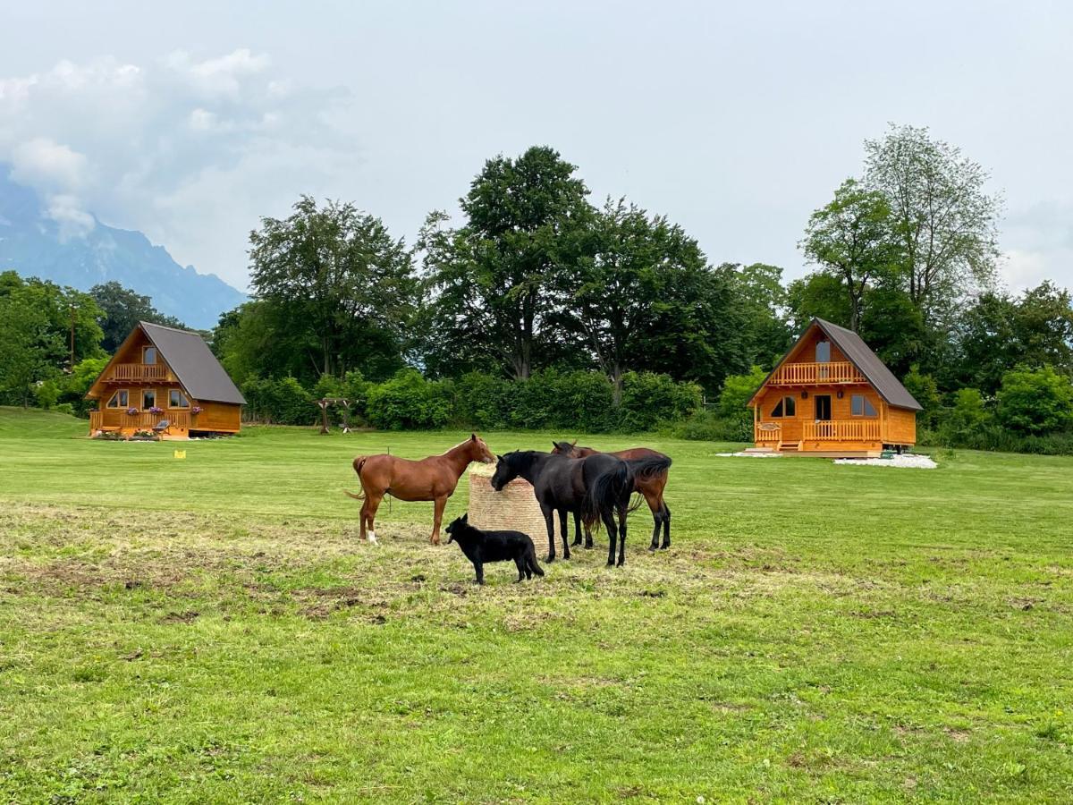 Apartament Agri Camp Dolomiti Belluno Zewnętrze zdjęcie