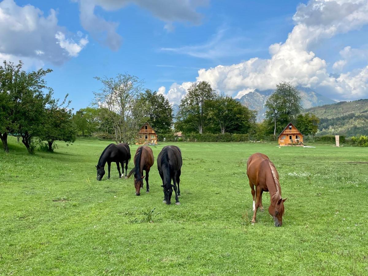 Apartament Agri Camp Dolomiti Belluno Zewnętrze zdjęcie