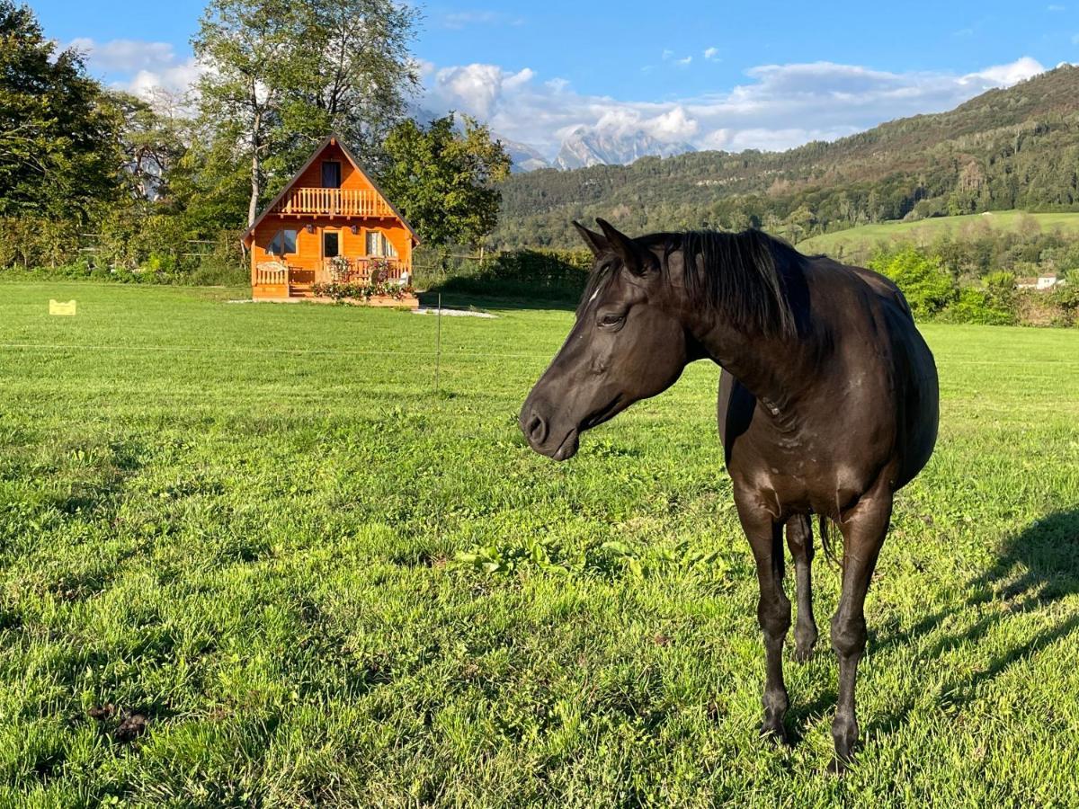 Apartament Agri Camp Dolomiti Belluno Zewnętrze zdjęcie
