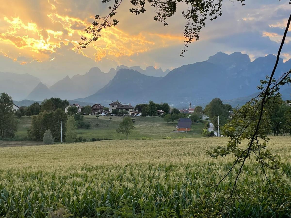 Apartament Agri Camp Dolomiti Belluno Zewnętrze zdjęcie