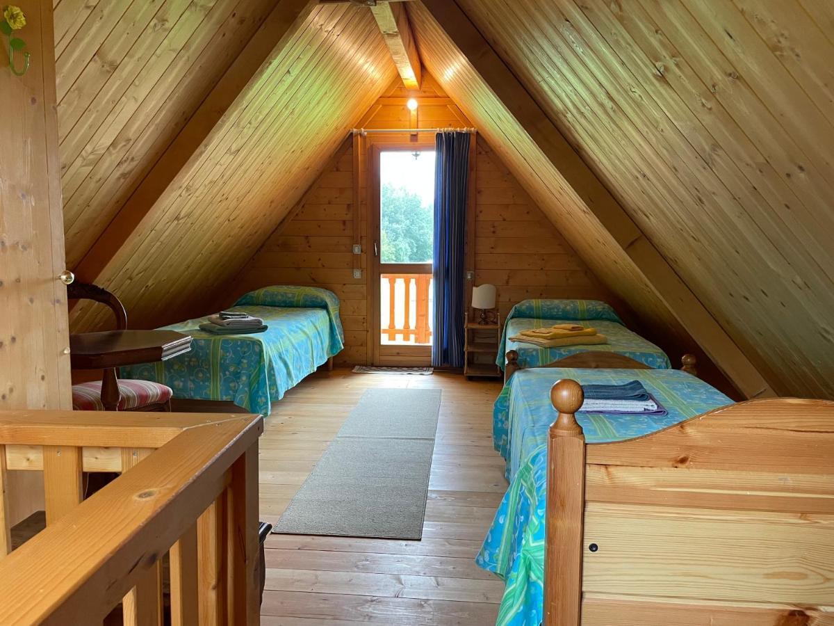 Apartament Agri Camp Dolomiti Belluno Zewnętrze zdjęcie