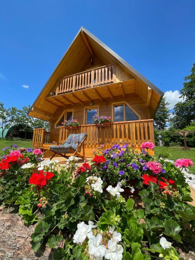 Apartament Agri Camp Dolomiti Belluno Zewnętrze zdjęcie