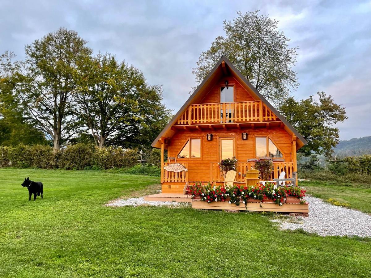 Apartament Agri Camp Dolomiti Belluno Zewnętrze zdjęcie