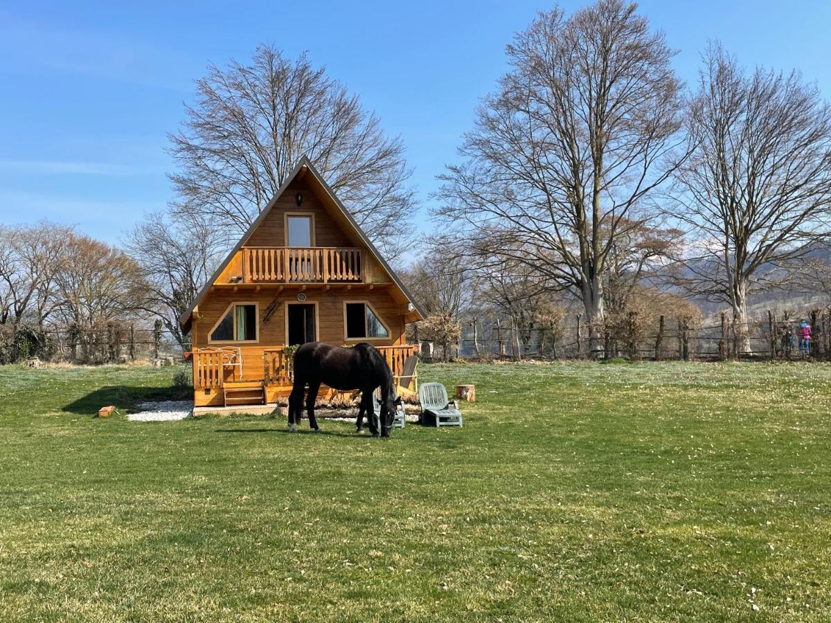 Apartament Agri Camp Dolomiti Belluno Zewnętrze zdjęcie
