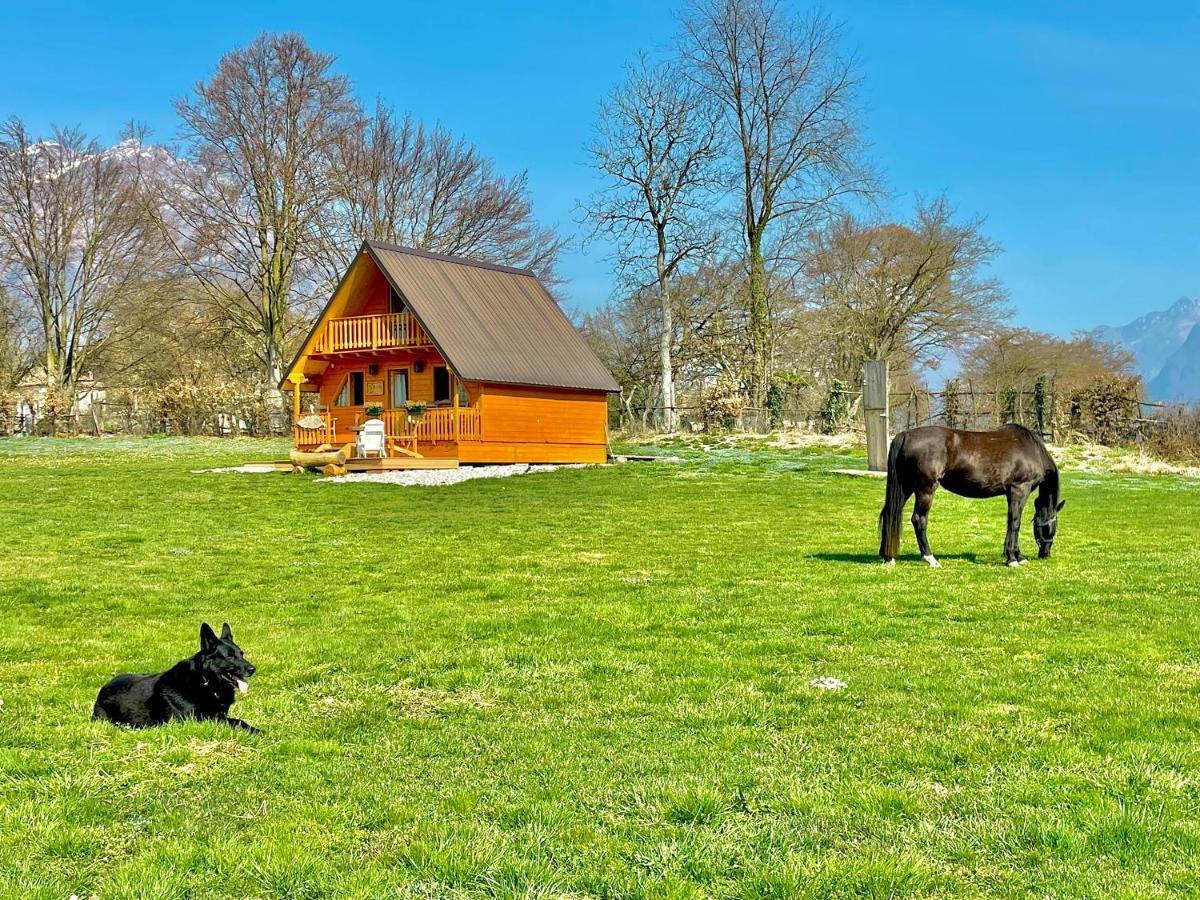 Apartament Agri Camp Dolomiti Belluno Zewnętrze zdjęcie