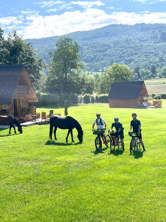 Apartament Agri Camp Dolomiti Belluno Zewnętrze zdjęcie