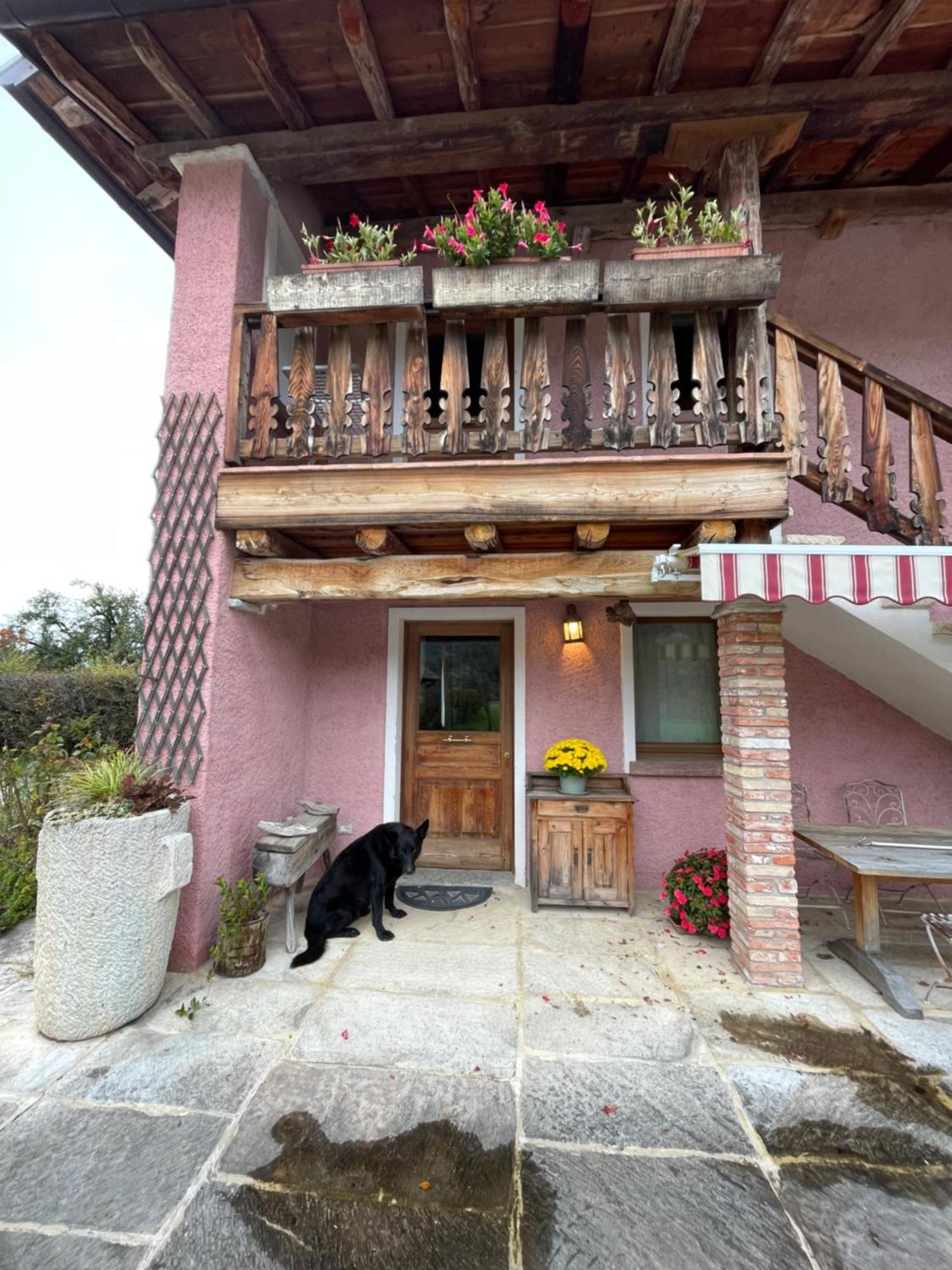 Apartament Agri Camp Dolomiti Belluno Zewnętrze zdjęcie